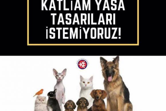 Katliam Yasa Tasarısına Hayır!