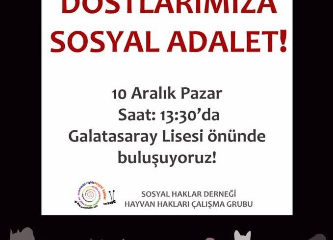 Hayvan Hakları Savunucuları’ndan Eylem Çağrısı: Bugün 13.30’da Taksim’deyiz!
