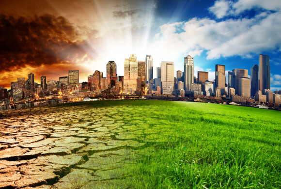 Üçüncü Nesil Haklar; Dayanışma ve Kolektif Haklar (Yeşil Haklar)