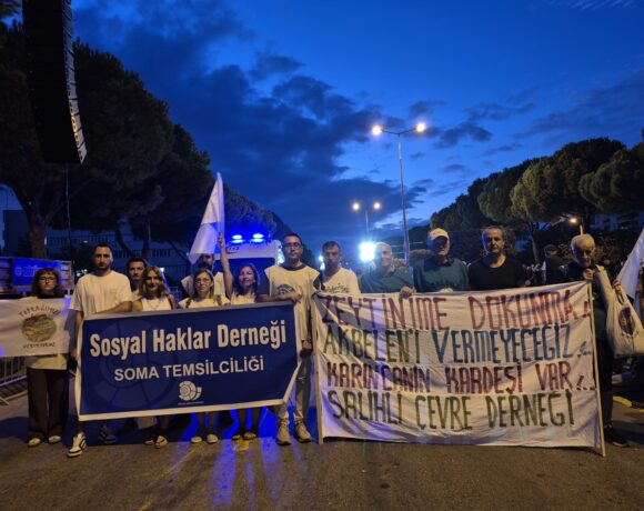 Gediz Havzası’nda Ekolojik Çöküş